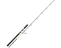 Daiwa Grandwave Casting Os Jigging Hengel Zilver 1.68 m / 100-300 g