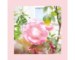 The Reds, Pinks & Purples - Summer At Land's End (CD)