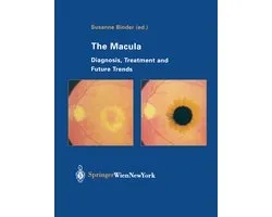 The Macula