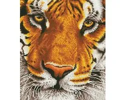 DIAMOND DOTZ Bengal Magic - Diamond Painting - 18.250 Dotz - 42x36 cm