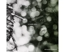Orsak:Oslo - Skimmer / Vemod (LP)
