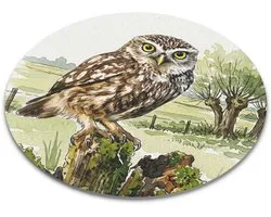 Ronde Bureau Mat Steenuil Athene Noctua Aquarel Series Vogel op Paal Weiland Computermuis Onderzetter Cadeau voor hem & haar: Vrouw, Vriend(in) & Collega Werkplek Kantoor Accessoires Natuur Illustratie Roofvogel Thuiswerken