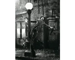 Kunstdruk Liby - Gene Kelly singing in the Rain 50x70cm