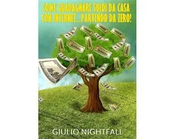 Come guadagnare soldi online...partendo da Zero!