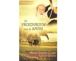 De Vrouwen Van Lancaster County 1 - De vroedvrouw van de Amish