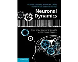Neuronal Dynamics