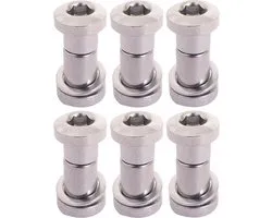 Zadelpenbout inbus Bofix cromo - 25mm (6 stuks)