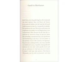 Gaudi­ in Manhattan door Carlos Ruiz Zafon