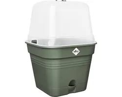 Elho Green Basics Kweekpot Vierkant Allin1 15 - Kweekbak met Deksel - 100% Gerecycled Plastic - Ø 15.0 x H 12.1 cm - Blad groen