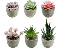 Cayway Pack of 6 Artificial Succulents Pot Set Succulents Artificial Succulents Artificial Succulents Plants for - ShopVlot