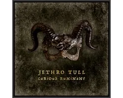 Jethro Tull - Curious Ruminant (LP)