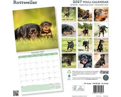 Rottweiler Kalender 2027