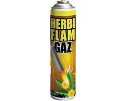 BSI - Herbiflam Gaz - Gasfles voor Herbiflam onkruidbrander - 600 ml
