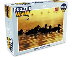Puzzle Canard - Water - Soleil - Puzzle - Puzzle 1000 pièces adultes