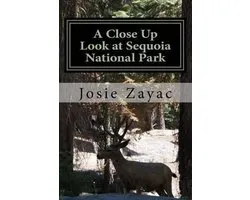 A Close Up Look at Sequoia National Park
