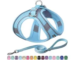 AIITLE Escape Proof Dog Harness - Step in Adjustable Dog Harness No Choke Over with Breathable Mesh and Quick-Release - ShopVlot
