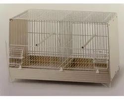 Cage d'élevage enduite de poudre Wit (55 x 31 x 34 cm) Domus Molinari ART 442FPL