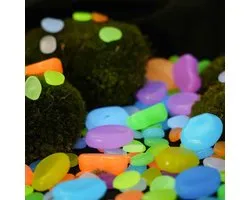 Glow Stones Small - Phosphorescentes - Décoration de terrarium - Décoration d'aquarium - Multicolore - 20 pièces - 1-2 cm