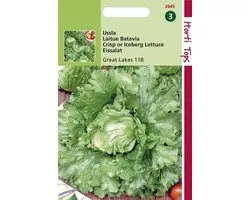 Hortitops Zaden - Kropsla - IJsbersla - Great Lakes 119