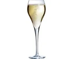 Brio Champagneglas - 16cl - Set van 6