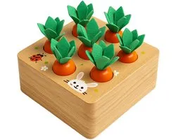 Jeu de carottes en bois Montessori pour les tout-petits | Jeu Éducatif de formes et de tri | Peinture à base d'eau testée | Jouets de motricité à partir de 1 an | Cadeau de Sinterklaas | cadeau de Noël | Garçons et Filles – Toys préférés de Jack