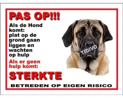 Kangal Köpek 12