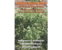 Ashwagandha (Withania somnifera)