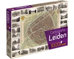 Cartografie Leiden (1000) - Tucker's Fun Factory Legpuzzel