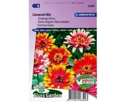 Sluis Garden - Zinnia Caroussel Mix