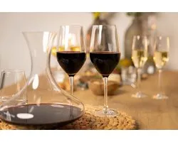 L' atelier du vin rode wijnglazen 2 stuks