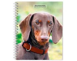 Dachshunds 2027 6 X 7.75 Inch Spiral-Bound Wire-O Weekly Engagement Planner Calendar New Full-Color Image Every Week