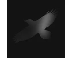 Odins Raven Magic (With Steindor Andersen. Hilmar Orn Hilmarsson And Maria Huld Markan Sigfusdottir)