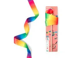 Buitenspeel BS Toys Danslint aan stok voor kinderen - Gymnastieklint, turnlint - Regenboog - 2 meter