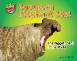More Supersized!- Southern Elephant Seal