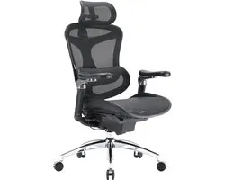 SIHOO Doro C300 Pro Ergonomische Bureaustoel - Ultrazachte 6D-Armleuningen - Verstelbare Hoofdsteun & Zitkussen - Dynamische Lendensteun - 150kg Draagvermogen - Kantoor/Thuis/Gaming - Zwart