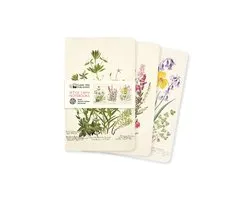 Mini Notebook Collections- Royal Botanic Garden Edinburgh Set of 3 Mini Notebooks