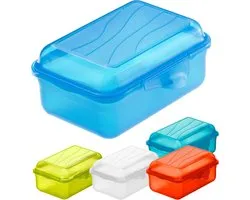 Rotho Fun Lunchbox 0.4L Transparant
