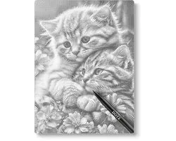 Chatons câlins | Peinture en pointillé | 50x60cm Le plus choisi | Peinture par points | Oh mon Dieu | Points points | Peinture au Diamond et Peinture par numéro alternative | Saint-Nicolas | Noël
