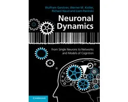 Neuronal Dynamics