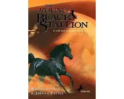 The Young Black Stallion