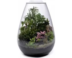 Wabi Kusa Bio Bol 175 Incl. LED White