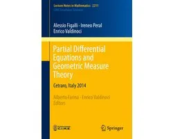 Mathematics and Statistics (R0) - Partial Differential Equations and Geometric Measure Theory