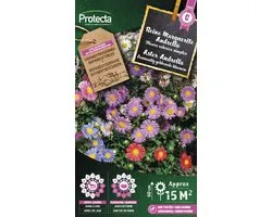 Protecta Bloemen zaden: Aster Andrella gemengd