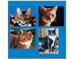 Chats Stickit quatre en un, environ 5 100 briques, compatibles avec Ministeck