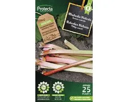 Protecta Groente zaden: Rabarber