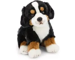 Zachte Knuffel Berner Sennenhond Pluche Speelgoed 20 cm