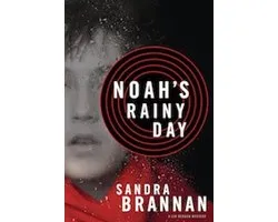 Noah's Rainy Day