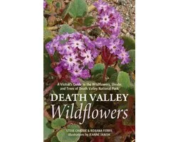 Death Valley Wildflowers